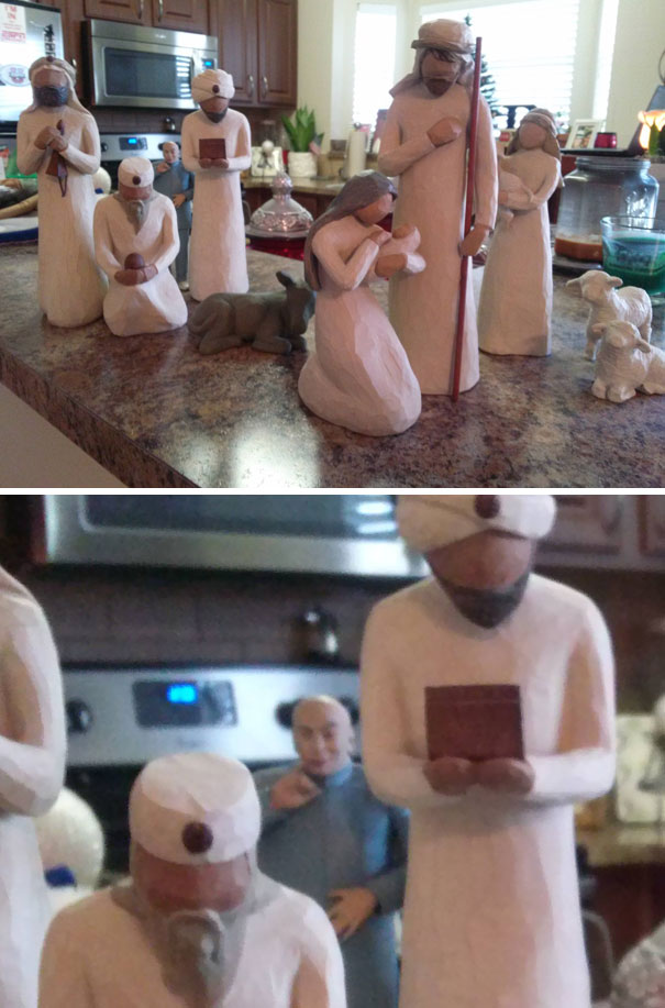 Illustration de l'article : Qui a vraiment le niveau pour trouver l'intrus sur ces 100 photos ? 