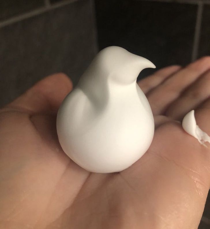 Illustration de l'article : Ces 15 objets qui ne sont pas ce qu'on croit 