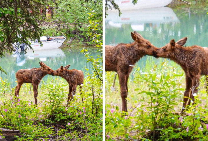 Illustration de l'article : Ces 18 photos de particularités trouvées chez l'homme et dans la nature