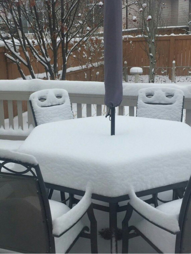 Illustration de l'article : Ces 22 curieux moments capturés au bon moment