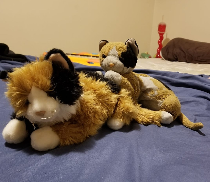 Illustration de l'article : Ces 20 photos qui comparent les objets usés à leur version neuve