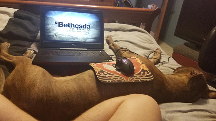 Illustration de l'article : Ces 20 astuces qui solutionnent quelques problèmes de la vie