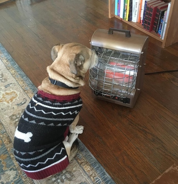 Illustration de l'article : Ces 16 personnes qui se rappelleront de 2019 avec humour