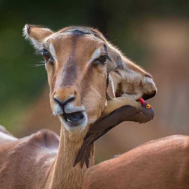 Illustration de l'article : 16 photos qui vont embrouiller votre esprit