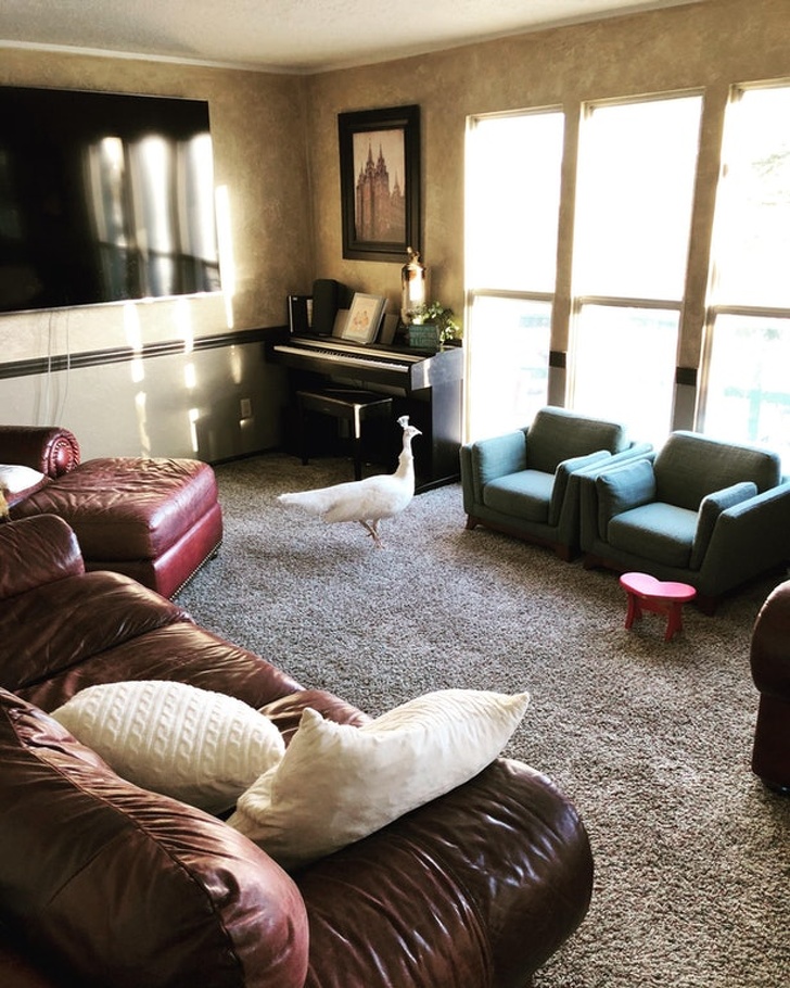 Illustration de l'article : Ces 14 personnes dont la journée fut un calvaire