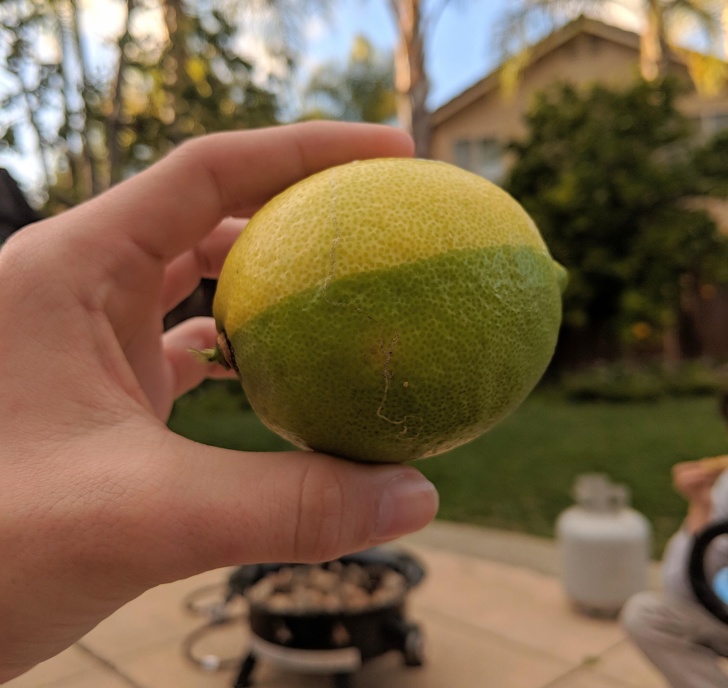 Illustration de l'article : Ces 16 photos qui montrent que notre monde est fascinant