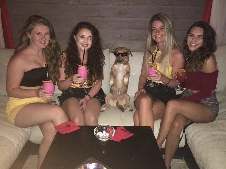 Illustration de l'article : Ces 23 photos prises pendant des situations loufoques