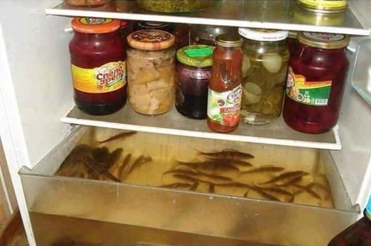 Illustration de l'article : Ces 22 personnes aux idées illogiques et peu utiles