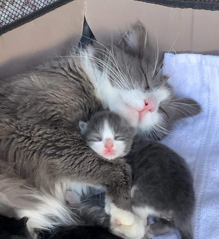 Illustration de l'article : Ces 15 photos qui illustrent des moments d'émotion et de tendresse