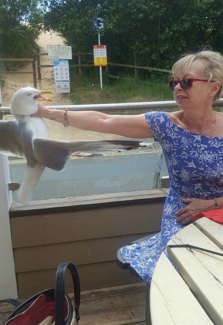 Illustration de l'article : Ces 19 photos d'une vie parfois injuste mais drôle