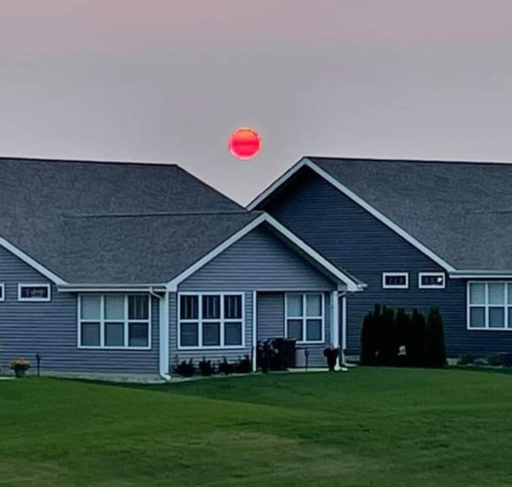 Illustration de l'article : Ces 18 fois où la nature s'est surpassée