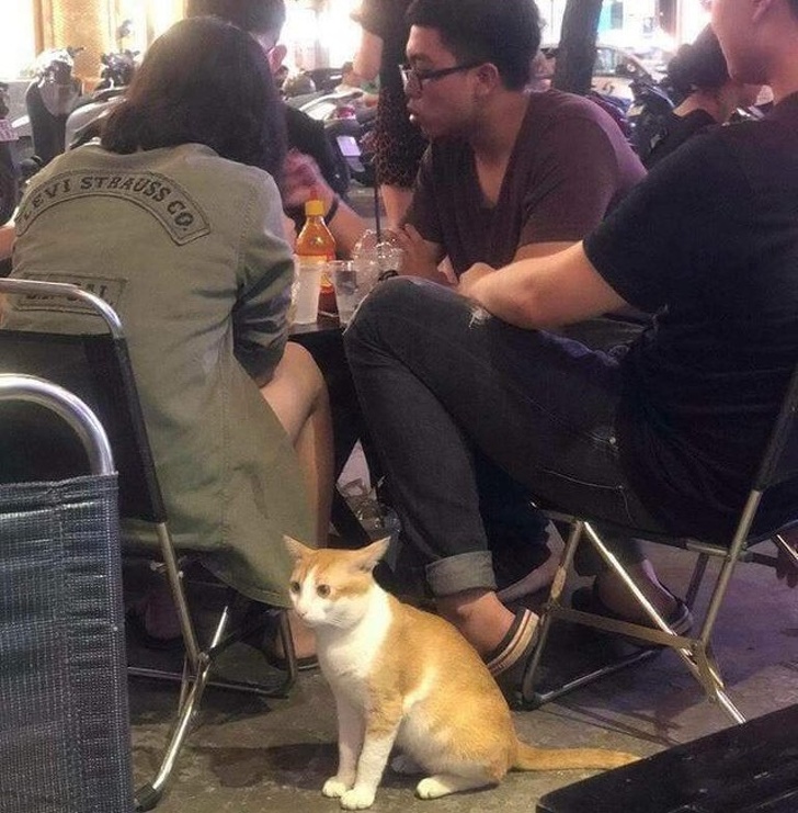 Illustration de l'article : Ces 21 photos qui réclament un peu d'empathie