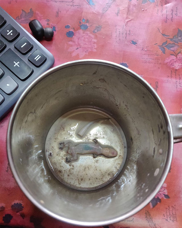 Illustration de l'article : Ces 24 personnes qui ont assurément passé une très mauvaise journée