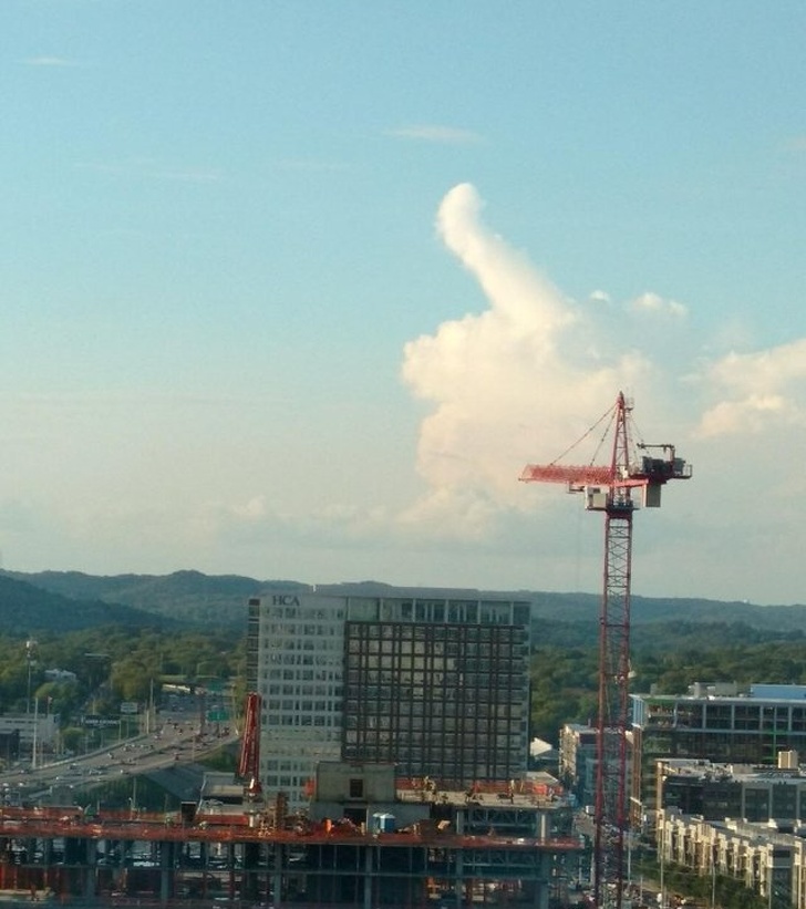 Illustration de l'article : Ces 18 photos prises à l'instant qu'il fallait