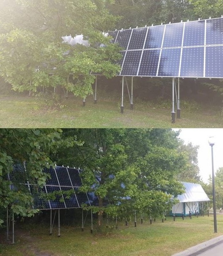 Illustration de l'article : Ces 19 personnes qui ne font pas les choses de fa&ccedil;on logique