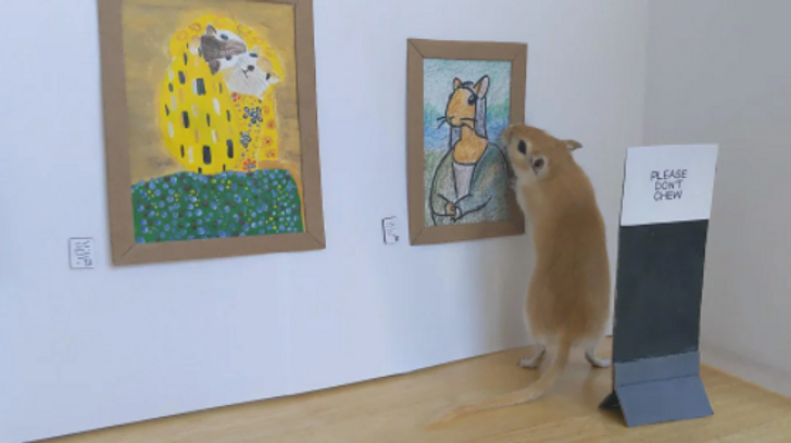 Illustration de l'article : Ces 19 photos qui illustrent les différentes manières d'exprimer son amour