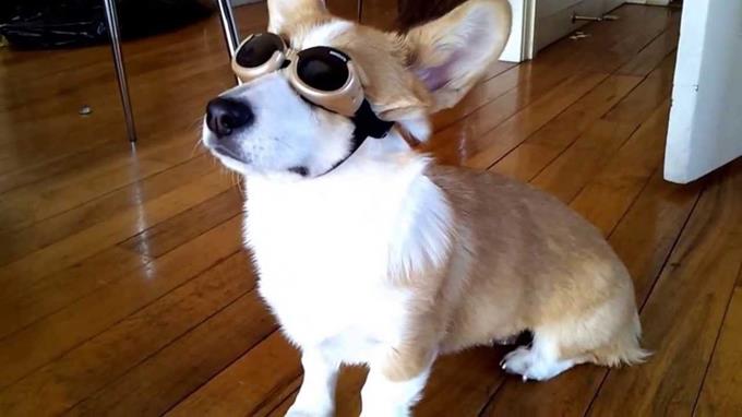 Illustration de l'article : 12 inventeurs devenus riches après avoir créé des choses inutiles