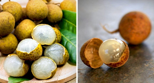 Illustration de l'article : 20 fruits exotiques rares à connaître si vous partez en exploration dans la forêt tropicale