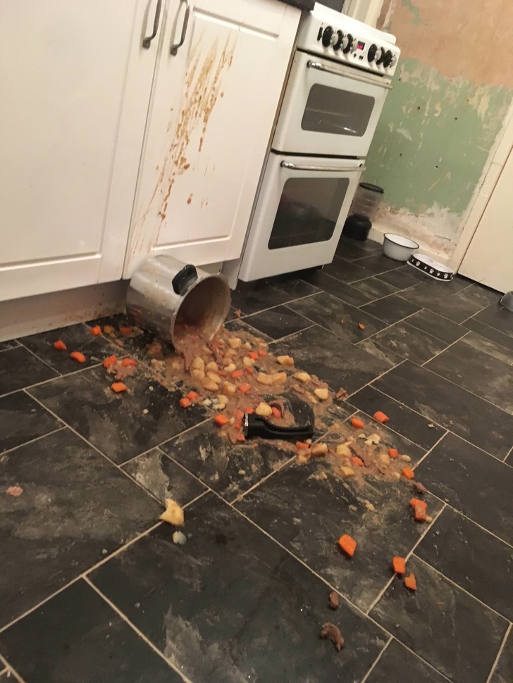 Illustration de l'article : Ces 17 photos qui montrent ce qu'est un mauvais jour