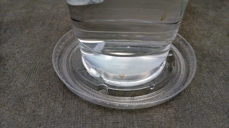 Illustration de l'article : Ces 14 photo qui remettent beaucoup de choses en cause