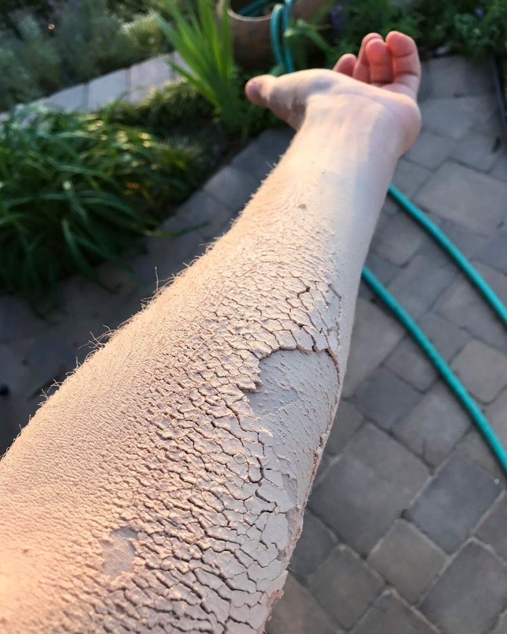 Illustration de l'article : Ces 24 photos de surprises rencontrées par des internautes