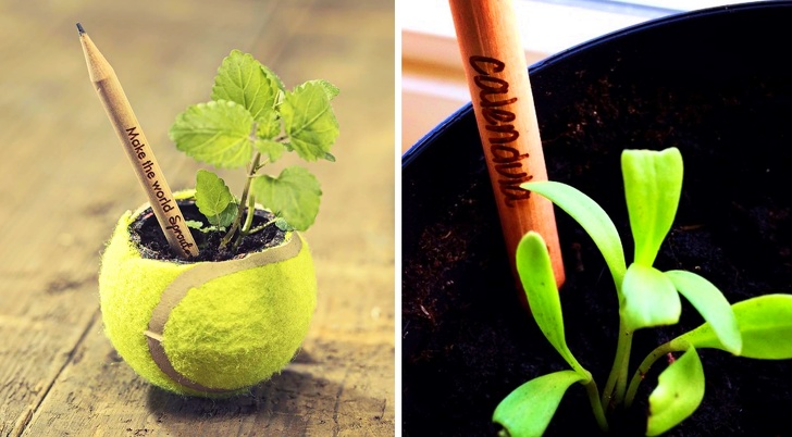 Illustration de l'article : Ces 19 inventions con&ccedil;ues par des esprits imaginatifs