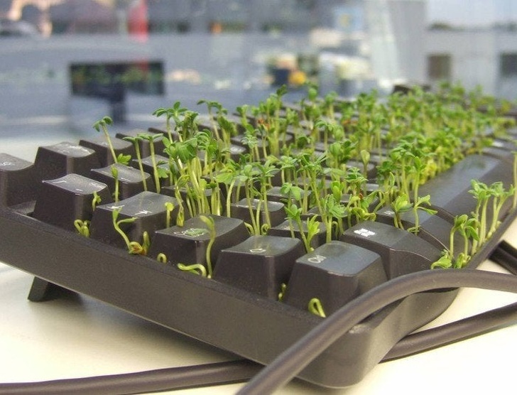 Illustration de l'article : Ces 16 personnes qui se rappelleront de 2019 avec humour