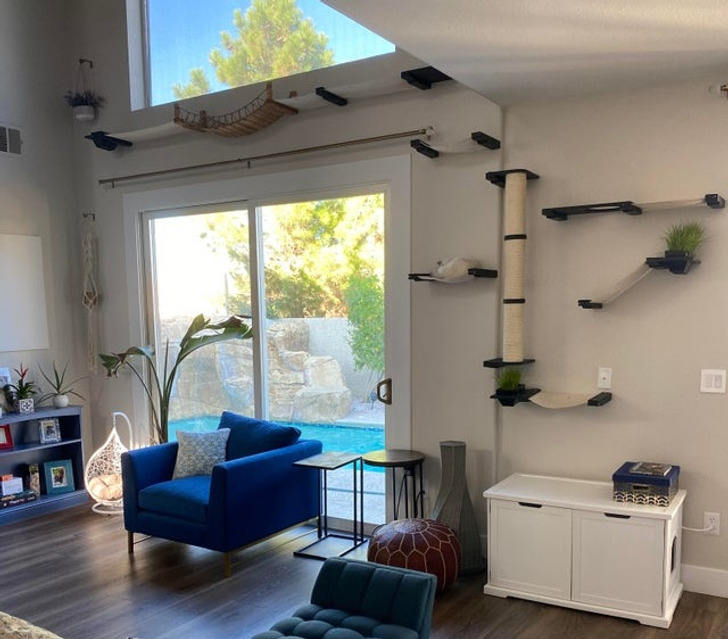 Illustration de l'article : Ces 18 inventions se veulent innovantes et utiles