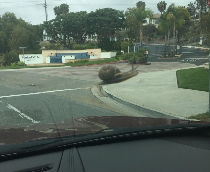 Illustration de l'article : Ces 23 curiosités qui montrent qu'il faut être attentif autour de soi