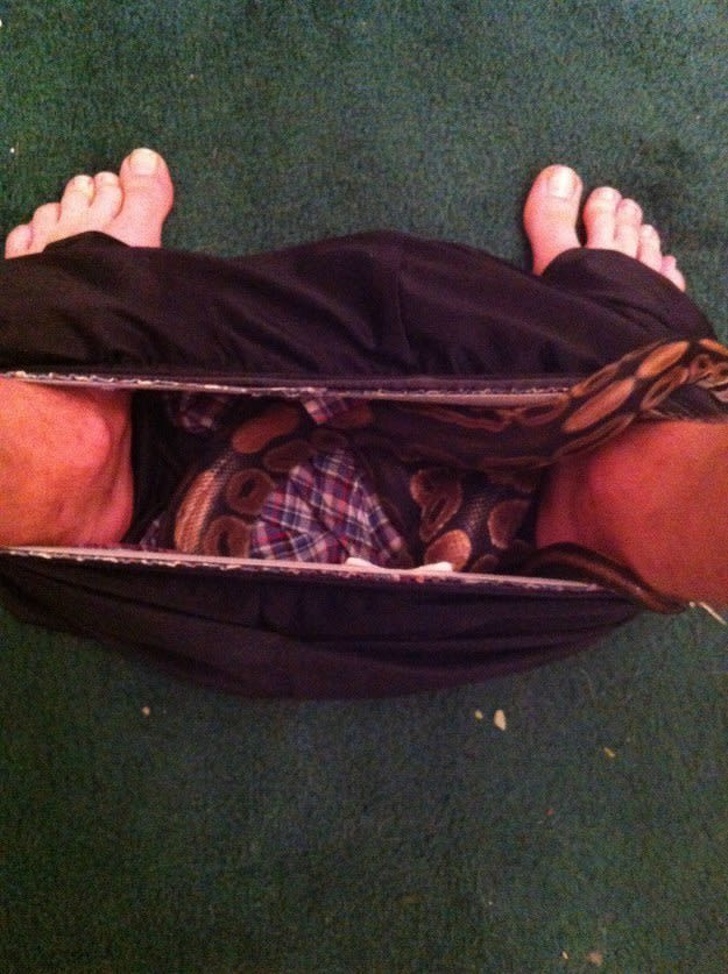 Illustration de l'article : Ces 20 photos où la chance s'est envolée