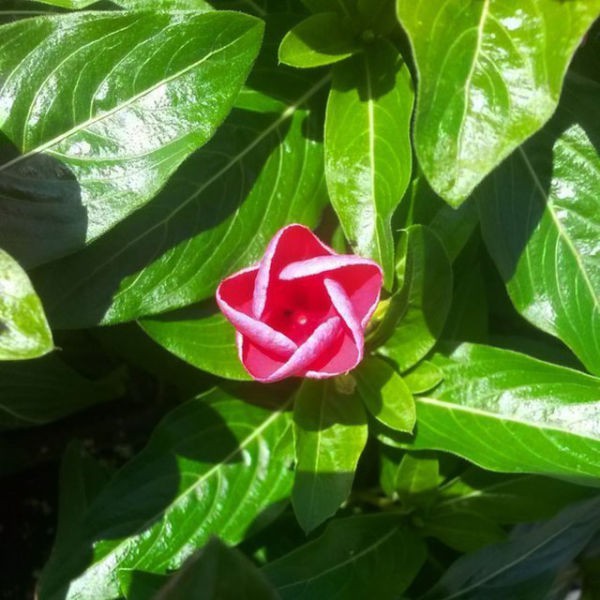 Illustration de l'article : 22 photos qui vont faire plaisir aux plus méticuleux d’entre vous