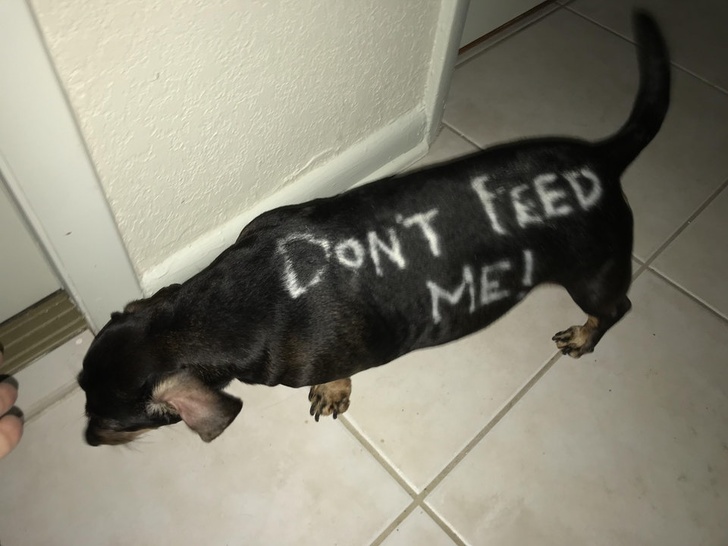 Illustration de l'article : Ces 15 idées sorties tout droit du cerveau d'un génie