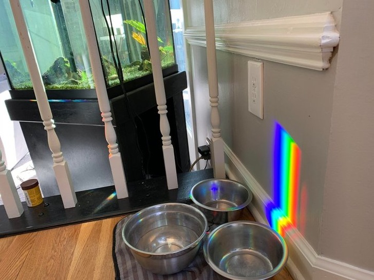 Illustration de l'article : Ces 18 photos prises pile à l'instant propice