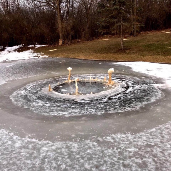 Illustration de l'article : 25 internautes partagent avec vous leurs instants de vie les plus marquants