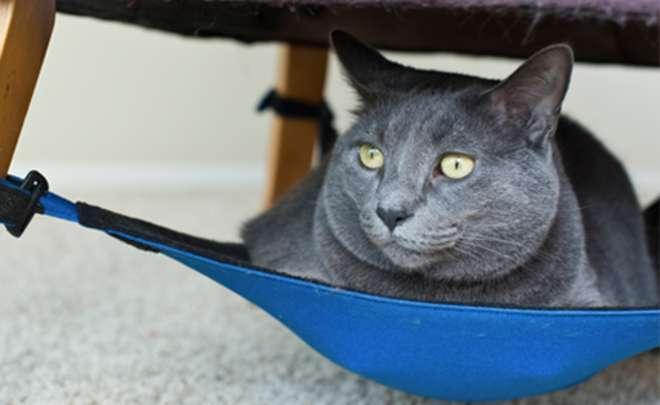 Illustration de l'article : Ces 12 inventions insolites qui peuvent changer le monde