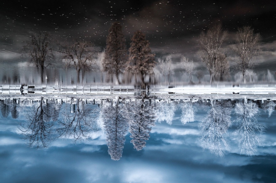 Illustration de l'article : 25 photos qu'il faut regarder 2 fois pour comprendre le sens