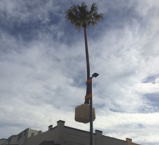 Illustration de l'article : 25 internautes partagent avec vous leurs instants de vie les plus marquants