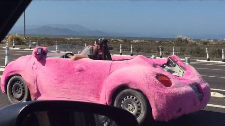 Illustration de l'article : Ces 20 drôles de personnes croisées sur les routes