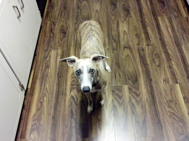 Illustration de l'article : 28 personnes qui ont vécu une expérience dont elles se souviendront toute leur vie