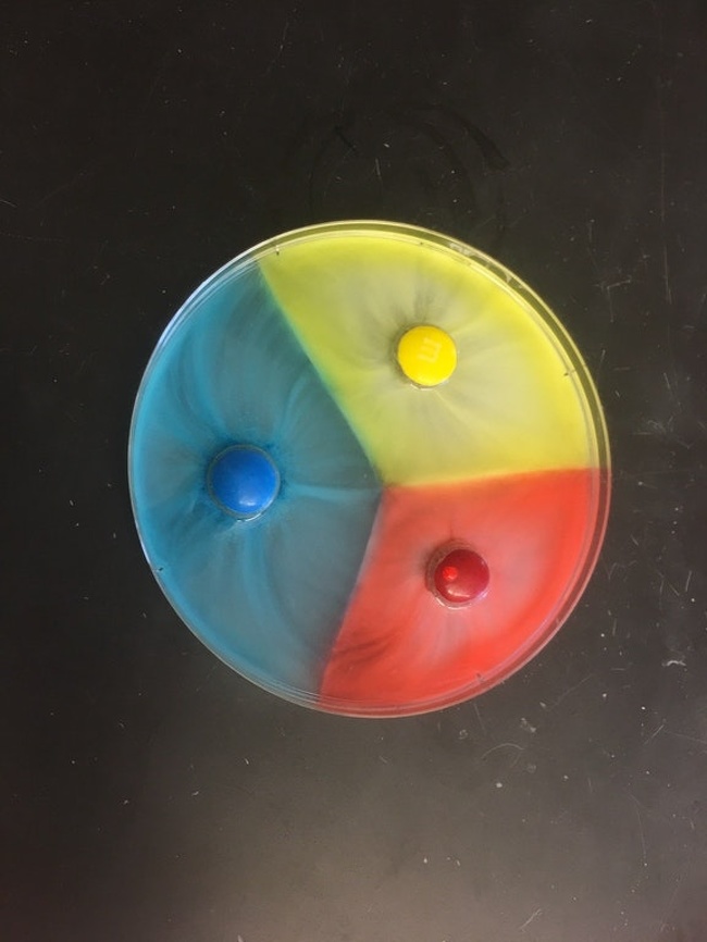 Illustration de l'article : Ces 26 curiosités rarissimes mises en ligne par des internautes