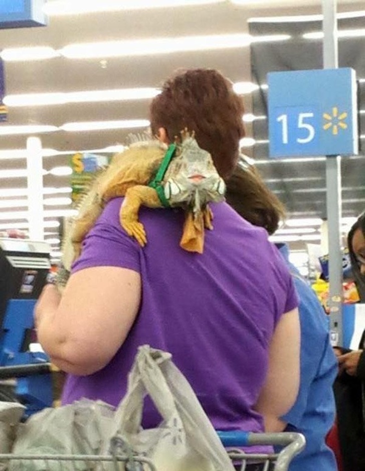 Illustration de l'article : Ces 20 clients peu ordinaires vus dans les magasins