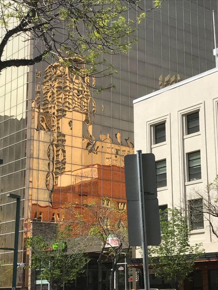 Illustration de l'article : Ces 15 photos d'oeuvres issues du hasard 