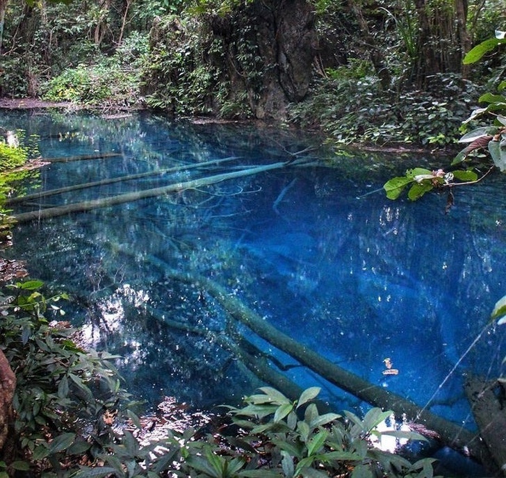 Illustration de l'article : Ces 17 choses dont l'utilisation intriguait leurs propriétaires