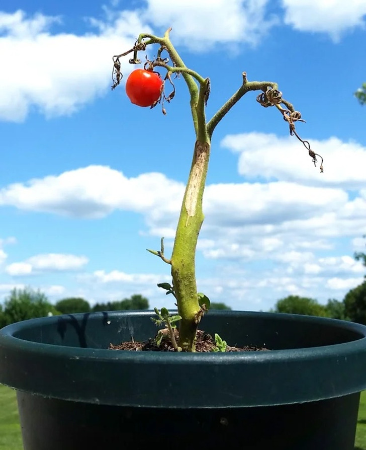 Illustration de l'article : Ces 19 photos qui illustrent les traits d'humour du quotidien