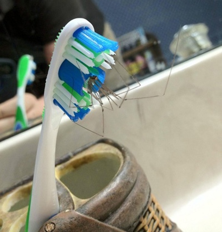 Illustration de l'article : Ces 19 façons de mal démarrer une nouvelle semaine