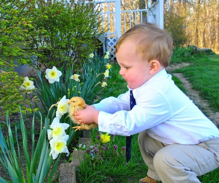 Illustration de l'article : Ces 19 photos qui transmettent la joie de vivre