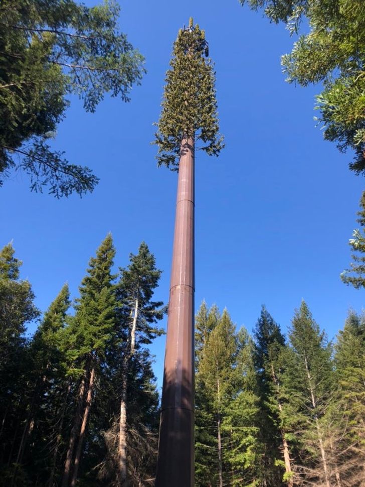 Illustration de l'article : Ces 19 découvertes insolites en tout genre