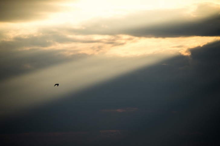 Illustration de l'article : Ces 19 photos de paysage à couper le souffle