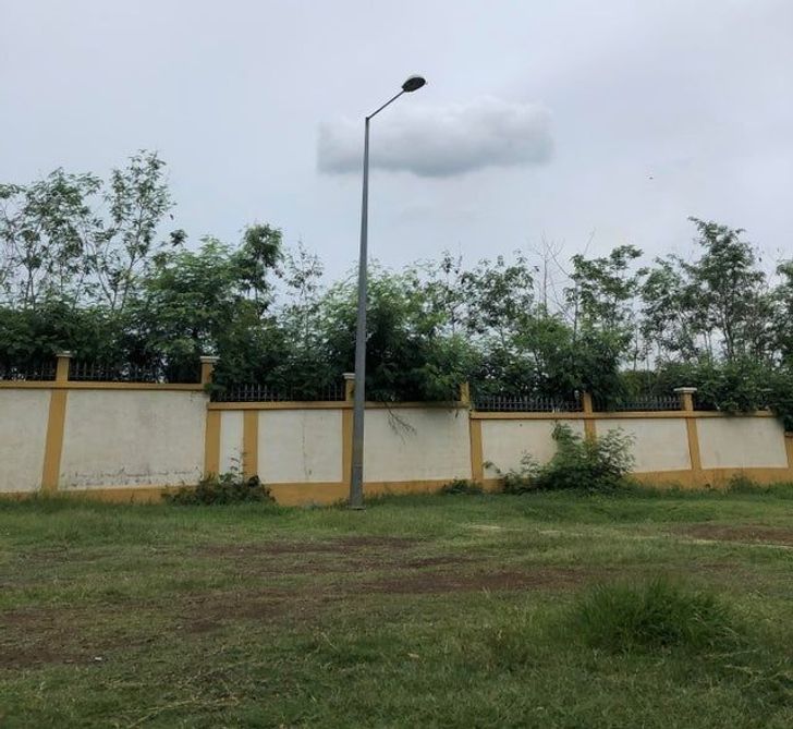 Illustration de l'article : Ces 20 photos qui demandent un deuxième coup d'oeil