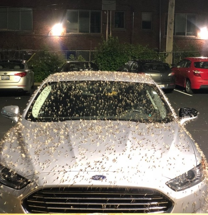 Illustration de l'article : Ces 20 photos qui montrent que se garer n'est pas si simple